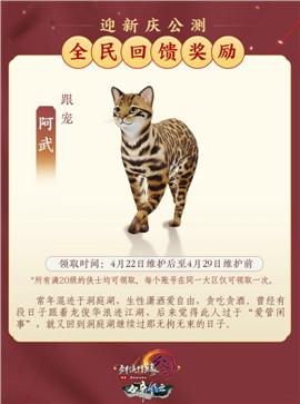 金庸神魔天龙八部私服
